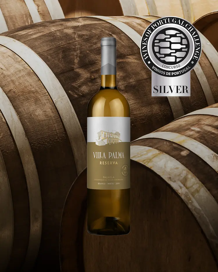 Medalha de Prata para o Villa Palma Branco Reserva 2023