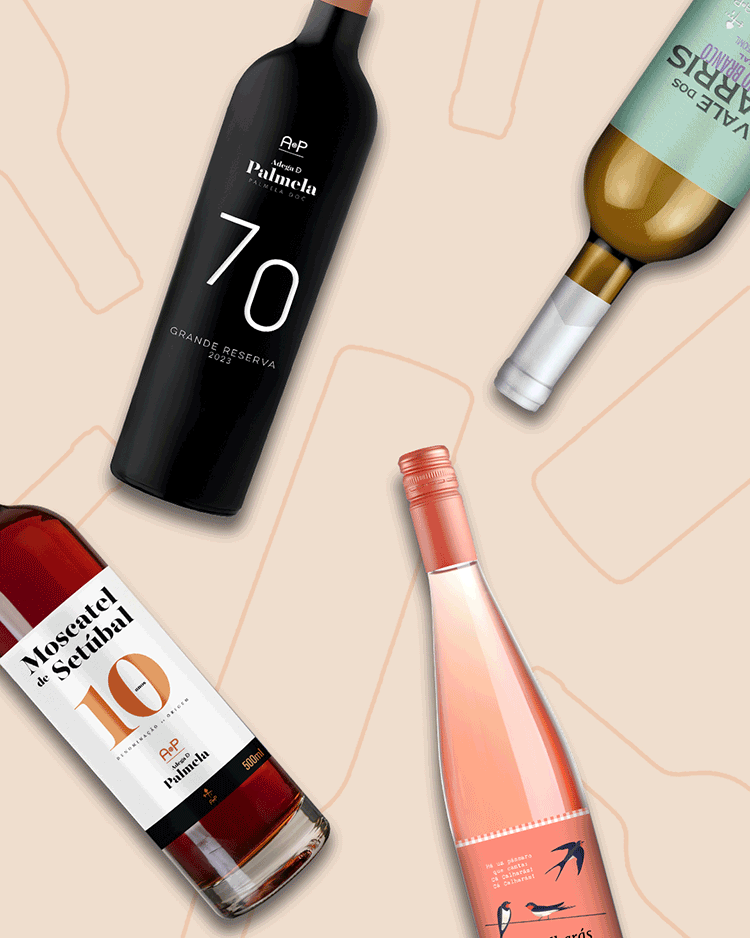 Vinhos e Amigos