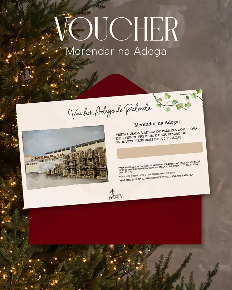 Na dúvida sobre o presente de Natal?