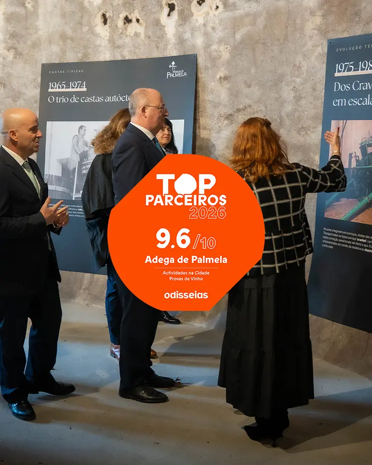 TOP Parceiros Odisseias 2026 | 9,6/10