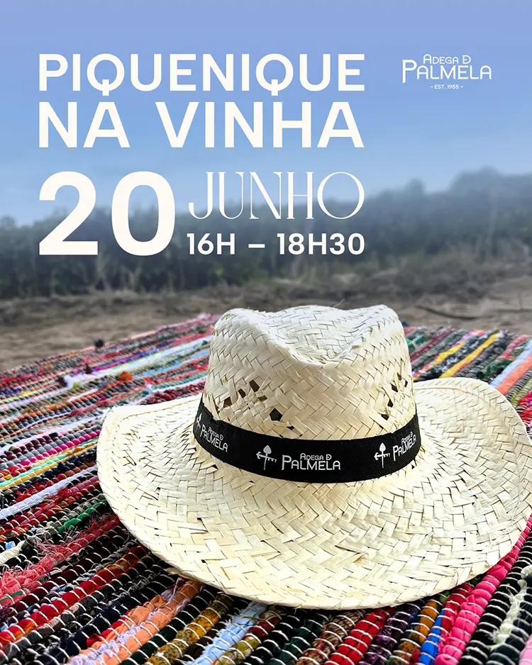 Piquenique na Vinha