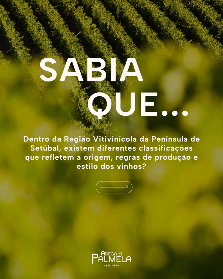 Sabia que...