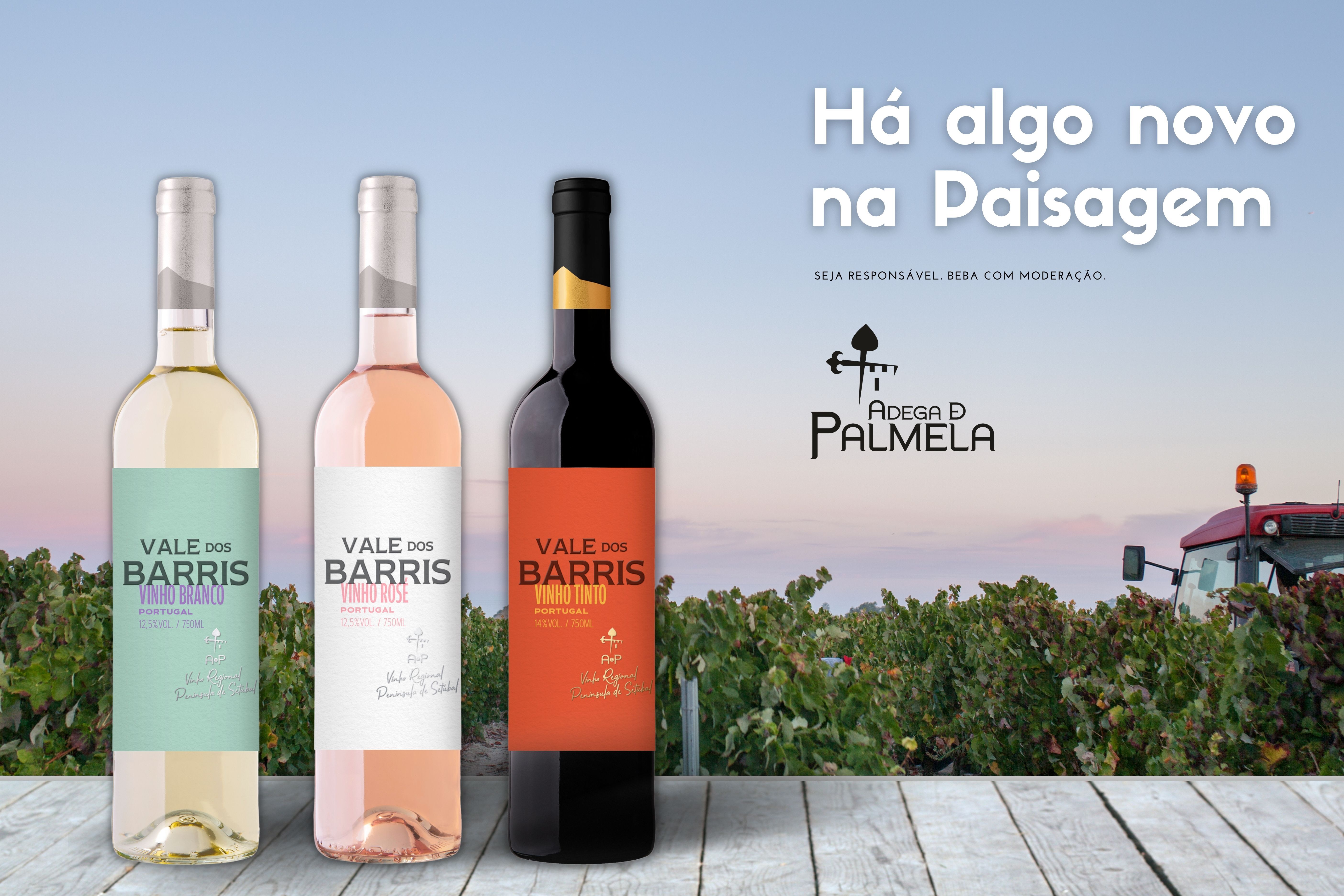 ADEGA DE PALMELA ASSINALA 25 ANOS DA MARCA VALE DOS BARRIS COM NOVA IMAGEM