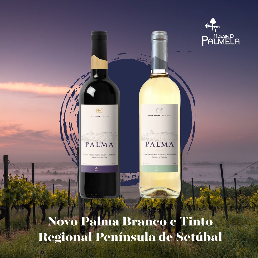 “PALMA”: A NOVA MARCA DE VINHOS DA ADEGA DE PALMELA 