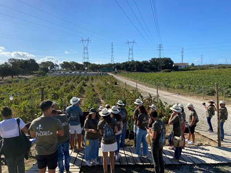 ADEGA DE PALMELA CRIA EXPERIÊNCIA AO SABOR DO VINHO