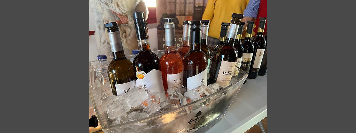 GAMA DE VINHOS DA ADEGA DE PALMELA NA PROVA PARA A RESTAURAÇÃO EM SESIMBRA