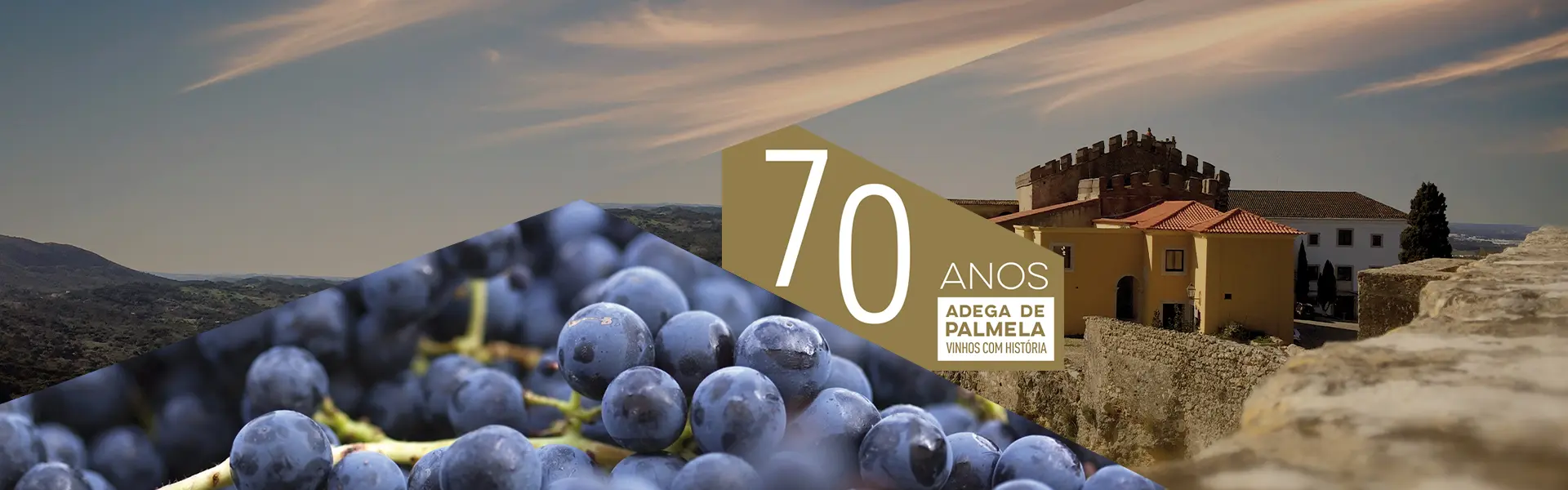 Adega de Palmela 70 Anos